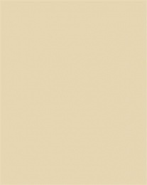 Dekorkarton, 2 oldalas, 50x70cm, 220 g, 10 lap, FOLIA, bézs